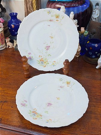 Par de Pratos Antigos em Porcelana Suíça W. Rion’s Söhne.