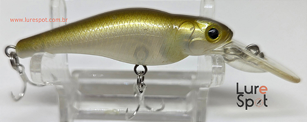 Evergreen Spin Move Shad