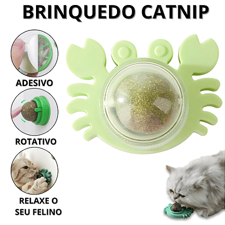 Brinquedo Gato Parede Catnip Para Gatos Erva Catinip Natural Interativo Pet Bolinha Adesiva Felino