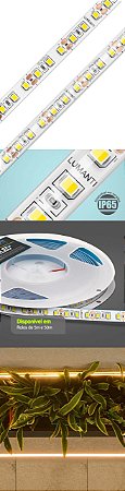 Fita Led 12v C/ 120 Leds Smd 4000k 12w 1176 Lumens Ip20 Irc 80