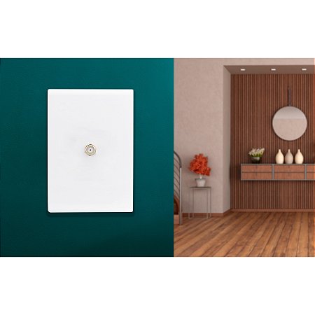 Placa Modular C Bast Br 4x2 Com Furo