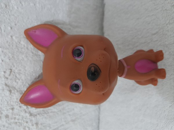 Cachorrinho dr canino