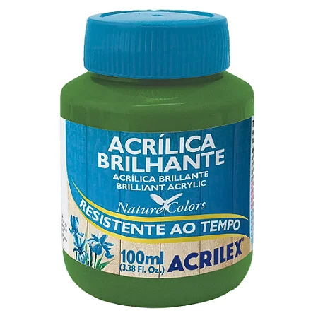 Tinta Acrílica Brilhante VERDE MUSGO - Acrilex (100ml)