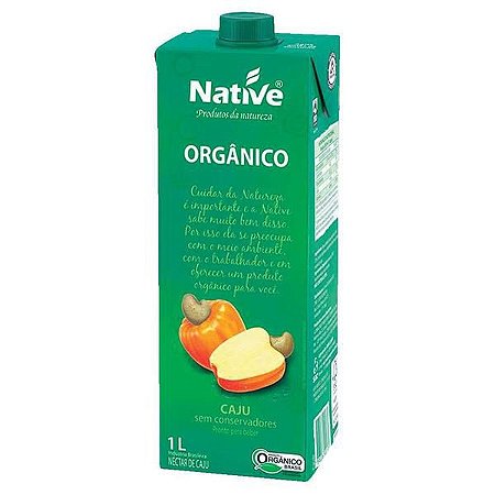 NECTAR DE CAJU ORG 1L NATIVE