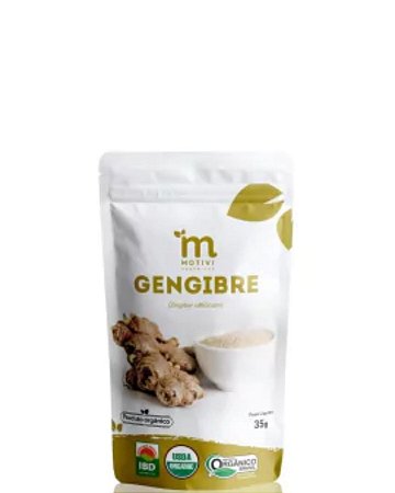 GENGIBRE ORGANICO DESIDRATADO EM PO 35g MOTIVI