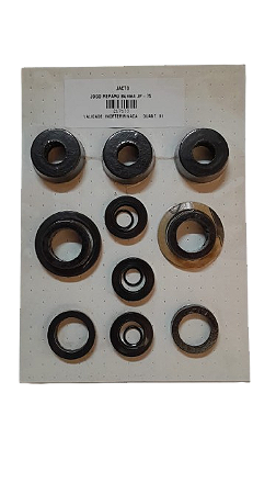 JOGO DE REPARO BOMBA JP-75