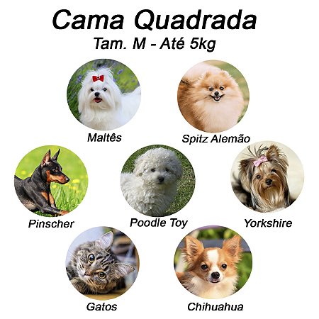 Cama Quadrada para Cachorro ou Gato Luppet Luxo Pequeno Príncipe Tamanho:M