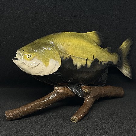 Escultura artesanal de Tambaqui feita a mão