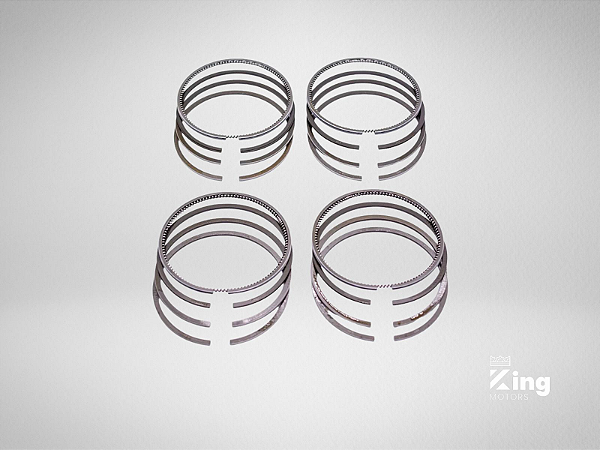 Anel de Segmento Isuzu D201