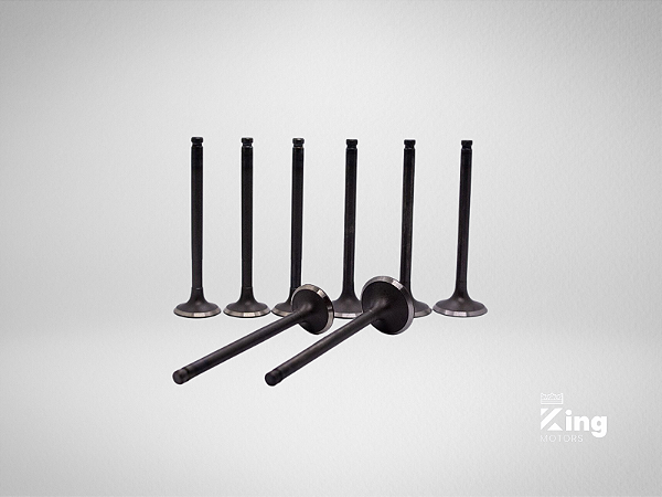 Jogo de Válvulas de Admissão e Escape Isuzu D201