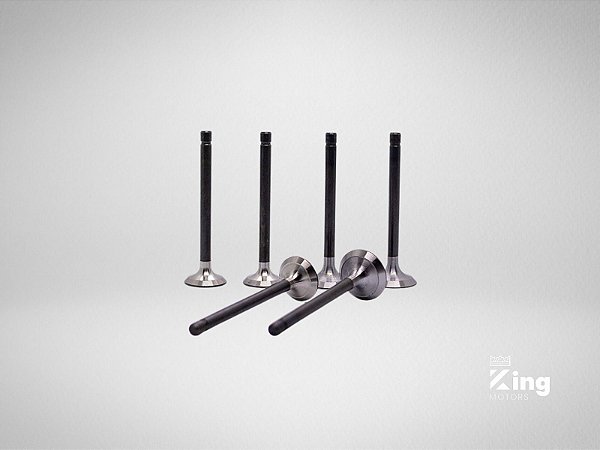 Válvulas de Admissão e Escape Kubota D722