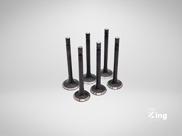 Válvulas de Admissão e Escape Kubota D1105