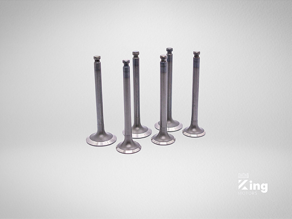 Válvulas de Admissão e Escape Yanmar 3.95