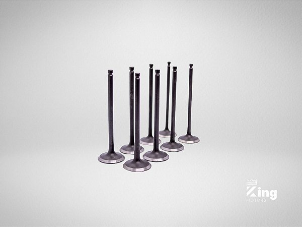 Válvulas de Admissão e Escape Toyota 2KD