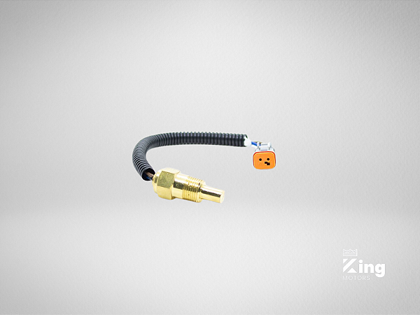 Sensor de Temperatura da Água 416538