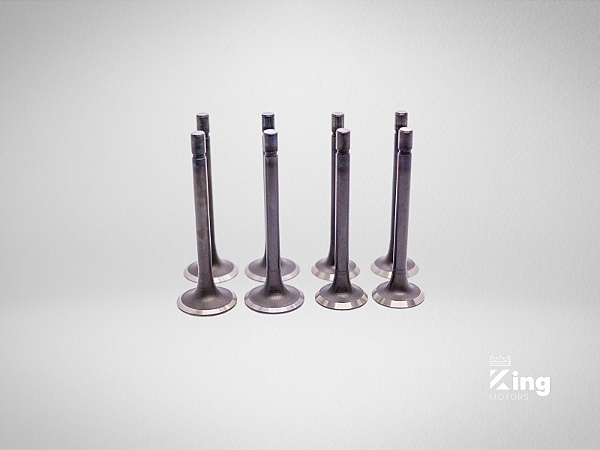 Válvulas de Admissão e Escape Kubota V1505