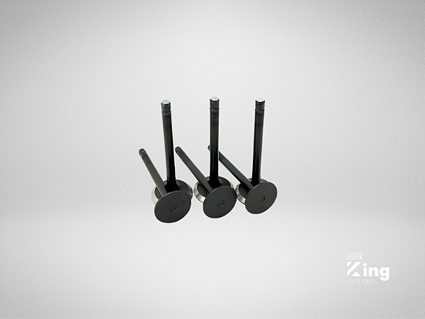 Válvulas de Admissão e Escape Kubota D902