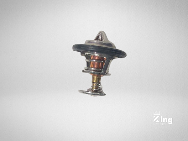 Válvula Termostática V1903/V2203