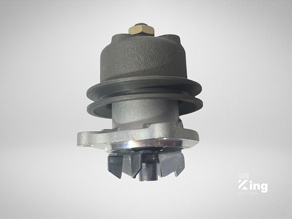 Bomba de Água D1100