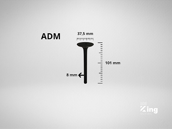 Válvulas de Admissão e Escape V2403
