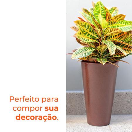 Vaso Conico Aldora 56 Cafe Afort