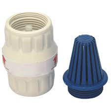 Valvula Retencao E Poço Plastico 25MM VPP25 Japi
