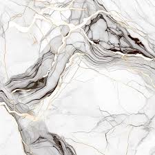 Piso 82X82 A Retificado Hd Bianco Supreme Polido Lc CX2,70