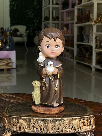 São Francisco de Assis Baby