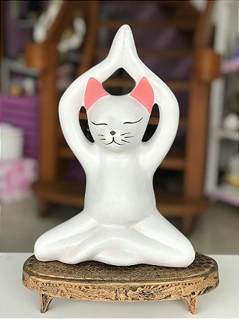 Gato Yoga alongando (branco/rosa)