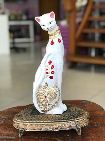 Gato Branco