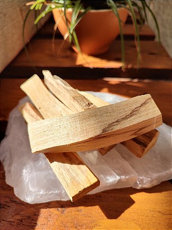 Palo Santo