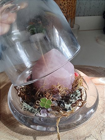 Terrário do Amor