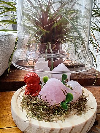 Terrário do Amor