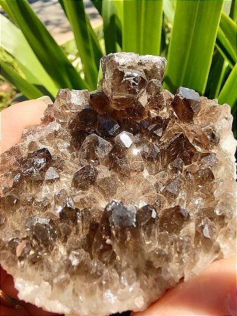 Drusa Quartzo Fumê