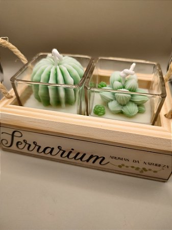 Vela Terrarium