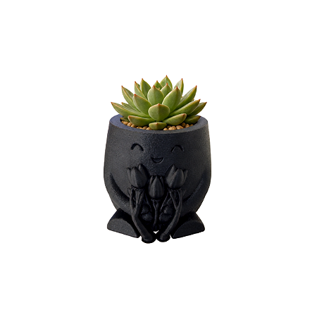 Vaso Pequeno p/ Suculenta Decoração Casa Escritório Planta