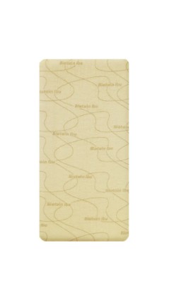 Curativo Biatain Ibuprofeno espuma não Adesivo 10x20 - Validade 27.06.2025