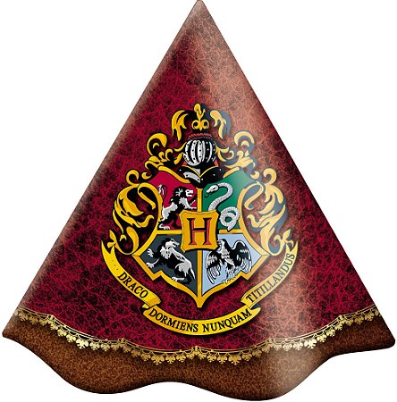 Chapéu Festa Harry Potter - 08 Unidades - Festcolor -  Embalagens