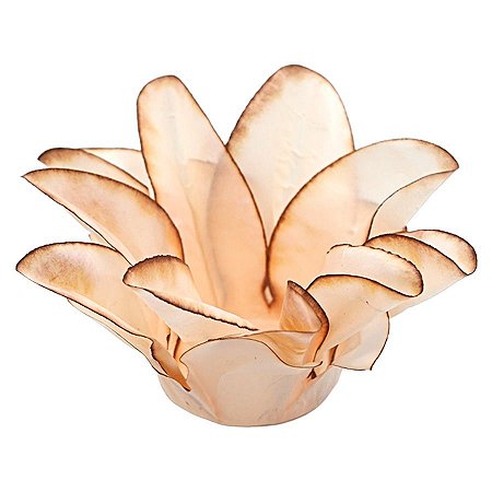 Forminha Para Doces Finos - Estrela do Mar Creme Queimado - 20 unidades - Decora Doces - Rizzo
