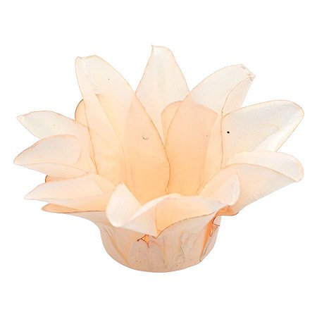 Forminha Para Doces Finos - Estrela do Mar Creme - 20 unidades - Decora Doces - Rizzo