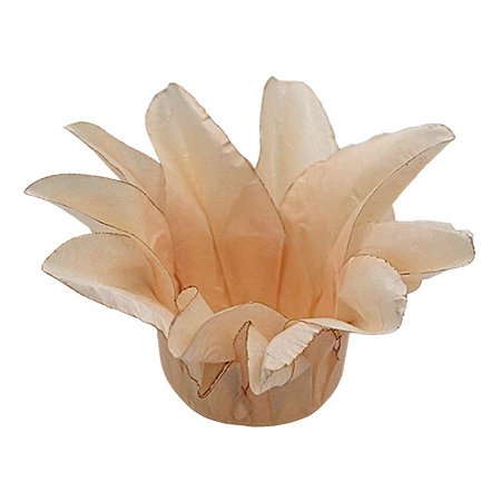 Forminha Para Doces Finos - Estrela do Mar Vanilla Matte - 20 unidades - Decora Doces - Rizzo