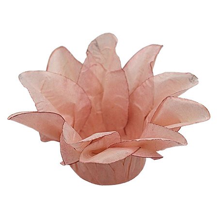 Forminha Para Doces Finos - Estrela do Mar Nude Claro Matte - 20 unidades - Decora Doces - Rizzo