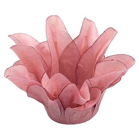 Forminha Para Doces Finos - Estrela do Mar Nude Matte - 20 unidades - Decora Doces - Rizzo