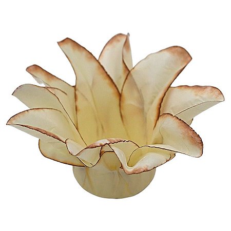 Forminha Para Doces Finos - Estrela do Mar Marfim Queimado - 20 unidades - Decora Doces - Rizzo