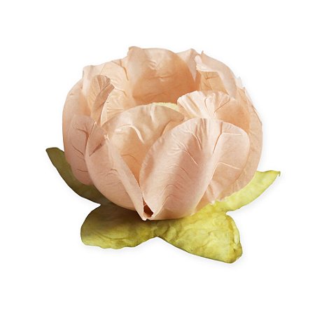 Forminha para Doces Finos - Tulipa - Tons Pin Art - Off Whit/Creme/Kraft - 25 unidades - Maxiformas - Rizzo