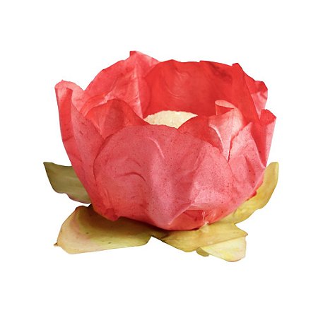 Forminha para Doces Finos - Tulipa - Tons Pin Art - Vermelho - 25 unidades - Maxiformas - Rizzo