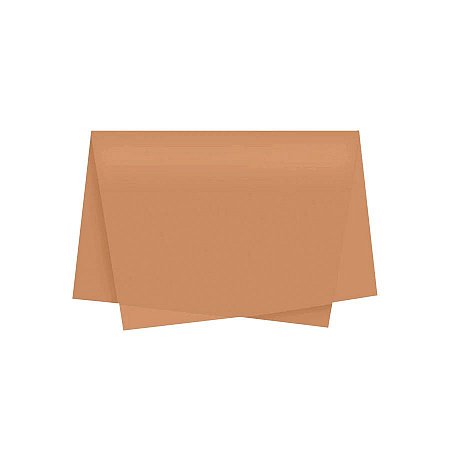 Papel de Seda - 50x70 - Kraft - 10 unidades - Rizzo