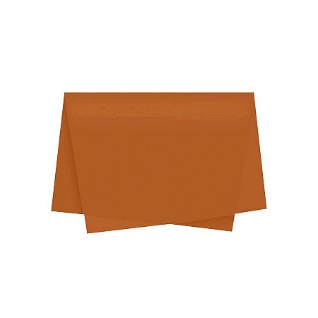 Papel de Seda - 50x70 - Laranja Queimado - 10 unidades - Rizzo