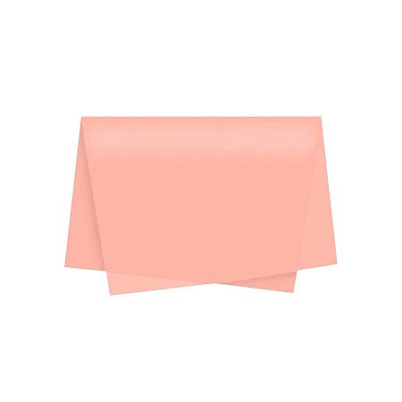 Papel de Seda - 50x70 - Nude - 10 unidades - Rizzo