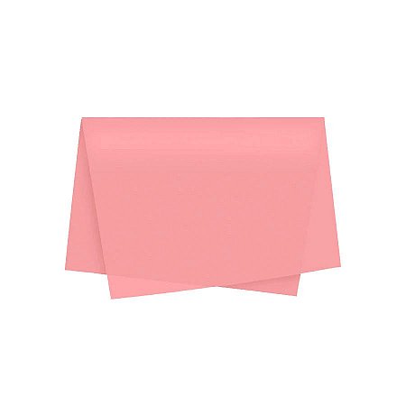 Papel de Seda - 50x70 - Palha - 10 unidades - Rizzo